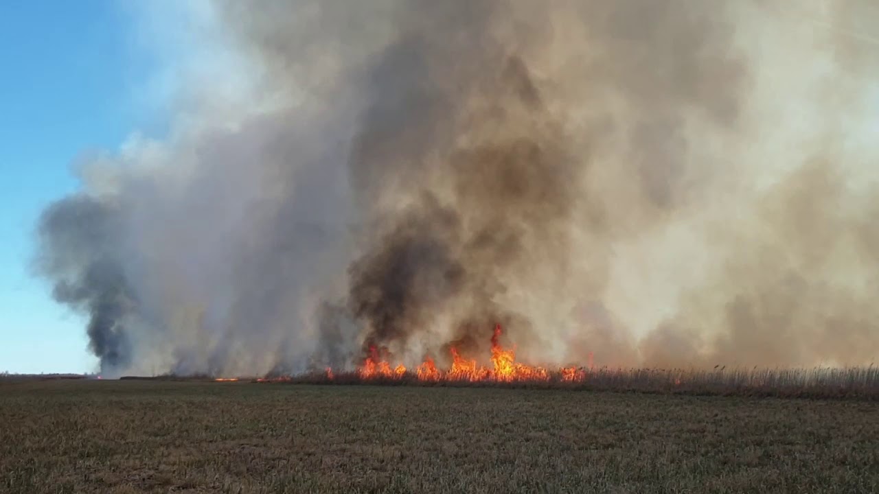 Pożar w Biebrzańskim Parku Narodowym oczami strażaka