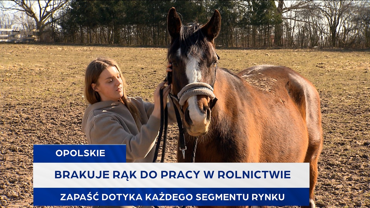 Brakuje rąk do pracy w rolnictwie. Zapaść dotyka każdego segmentu rynku