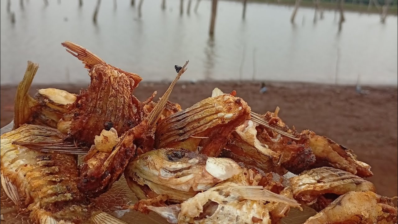 La pescaria fue espectacular Tarariras y bogas y una linda fritanga