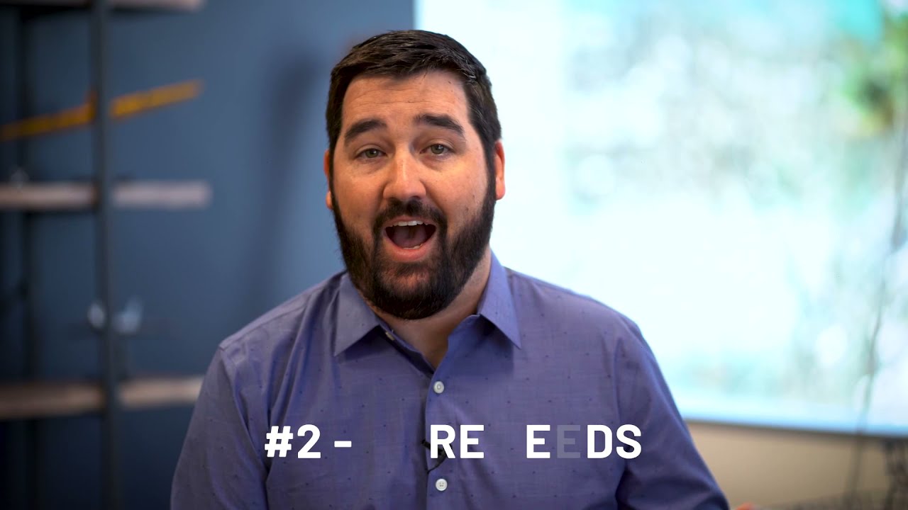 Evergreen Campaign Explained!