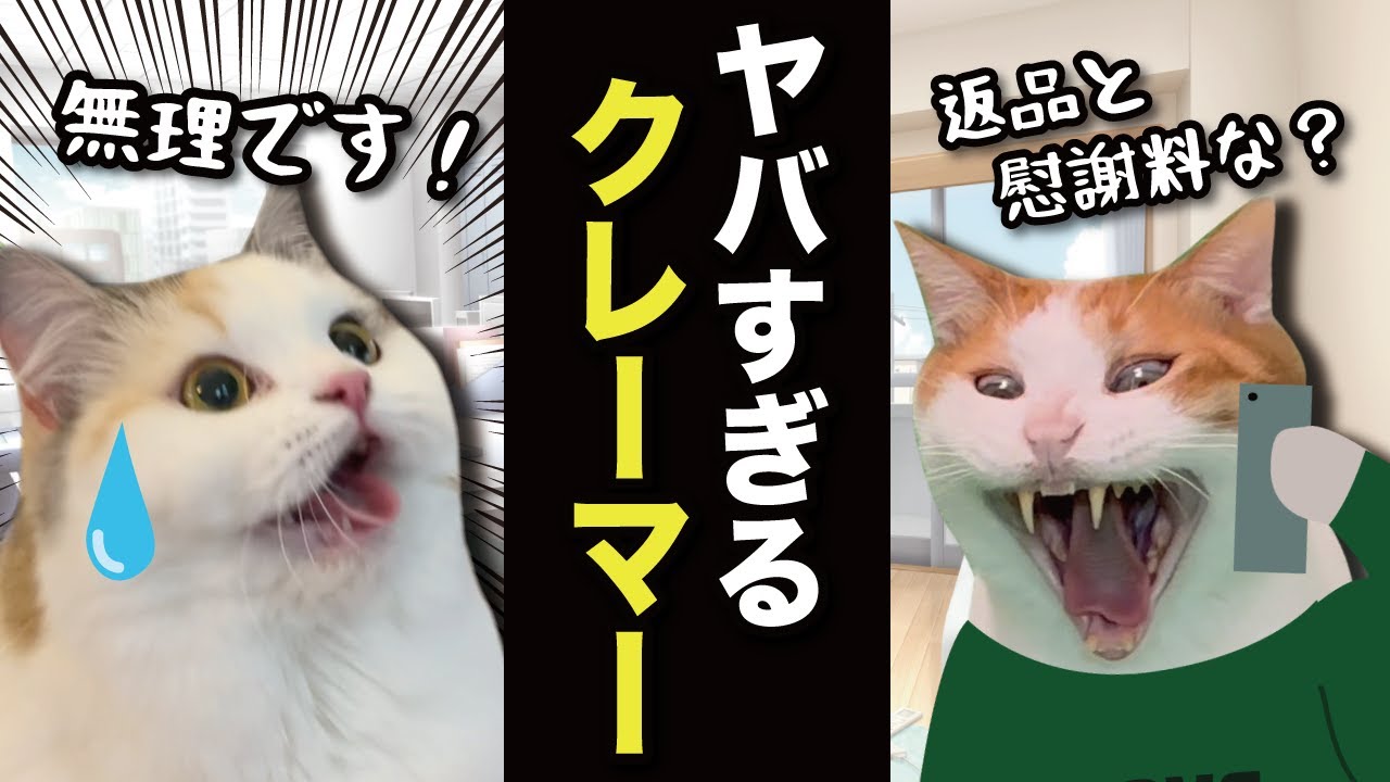 コールセンターのバイトしたらヤバすぎる奴に絡まれた件【漫才】【コント】 【猫アニメ】