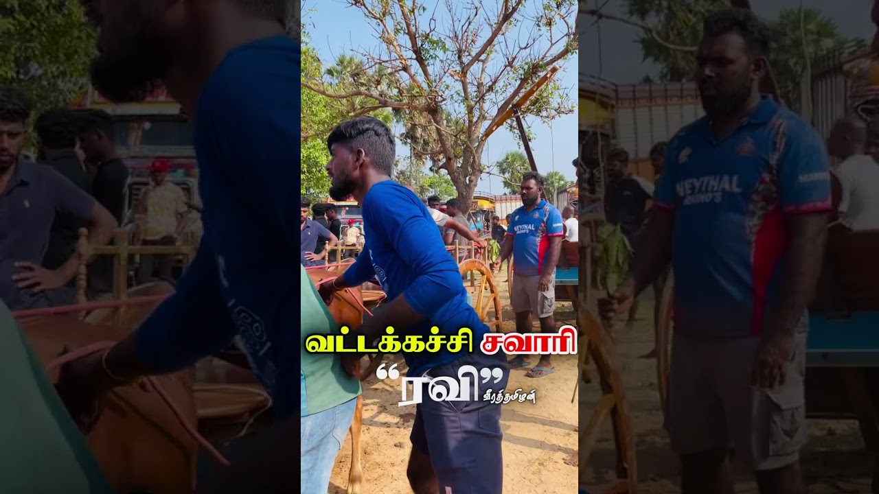 வட்டக்கச்சி சவாரி“ ரவி”#srilanka #madduvandilsavary