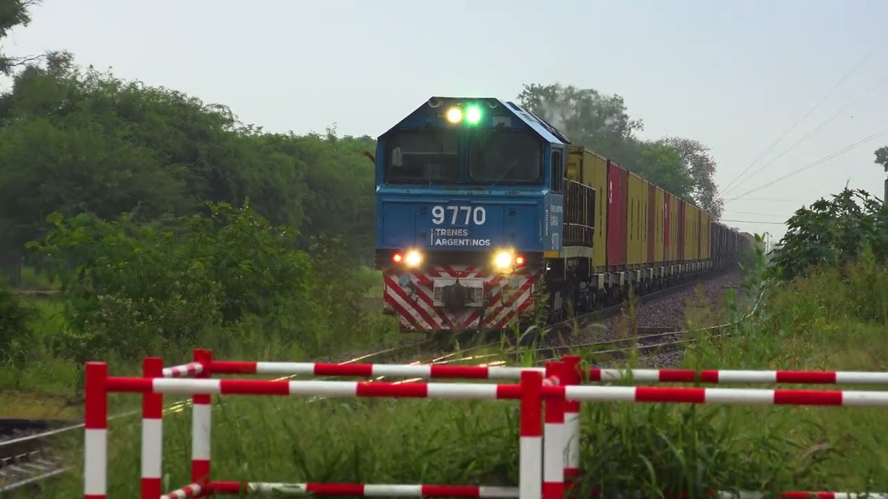 INCREIBLE pasada de un TREN de CARGAS por la NEBLINA !!! Hermoso Campo - Chaco