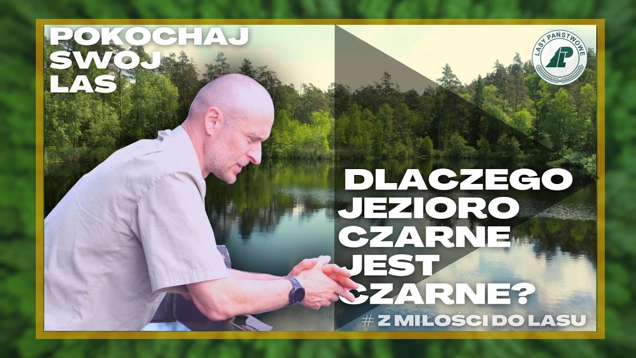 Pokochaj Swój Las - #7 Dlaczego jezioro Czarne jest czarne?