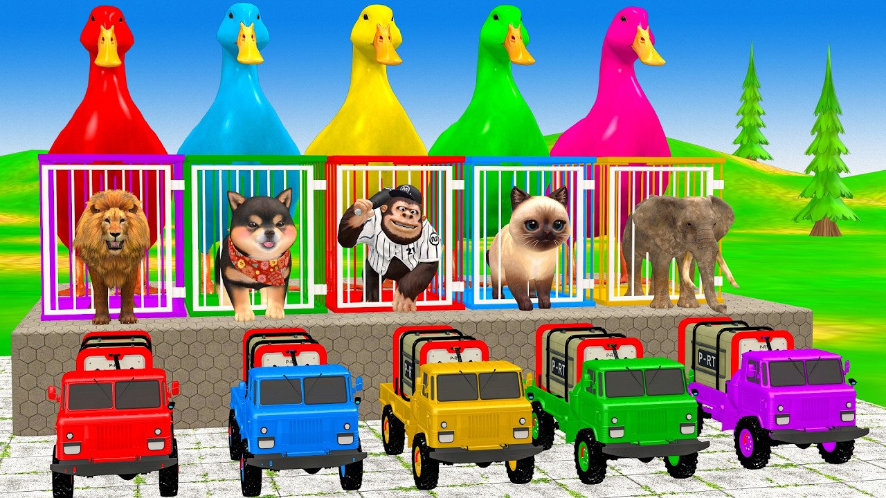 Long Slide Game With Cow Elephant Gorilla Hippopotamus Tiger - 3d Animal Game - Funny 3d Animals