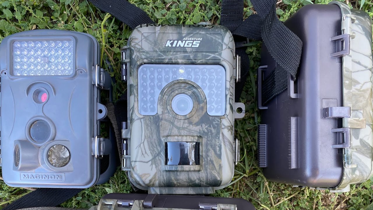 Trialing Kings Trail Cameras