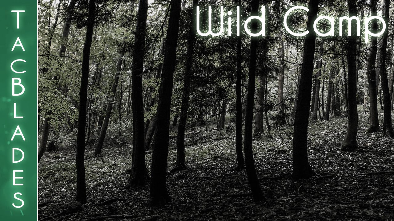Wild Camping in the Woods : Wild Camping