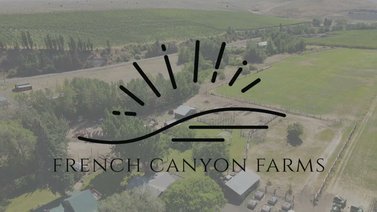 Welcome To French Canyon Farms
