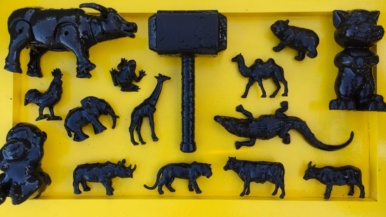 Membersihkan hewan sapi, gajah, ayam, bebek, kelinci, unta, zebra, kangguru, kuda, simpanse