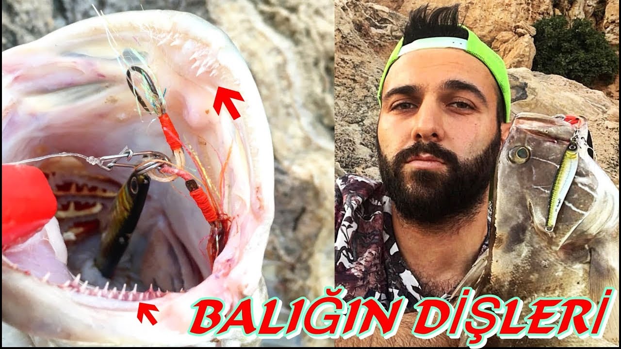 KIYI AVI KUM GRİDASI-AK LAHOZ AVI | CATCH WHİTE GROUPER | Balıklarla Bayramlaşma | ハタ