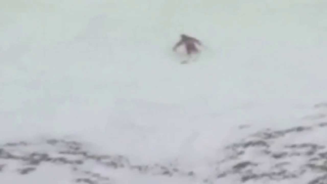 Michael Schumacher skiing fall
