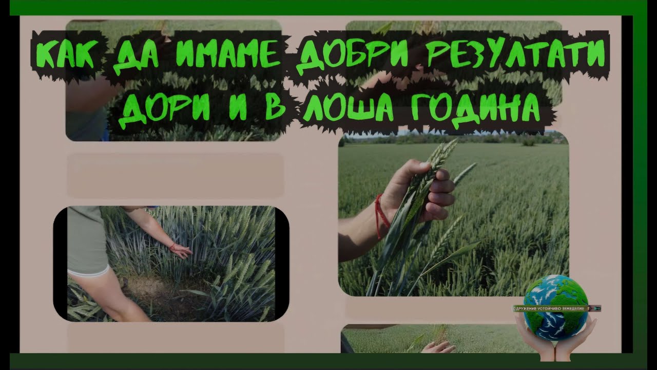 Как да постигнем добри резултати дори и в суха година