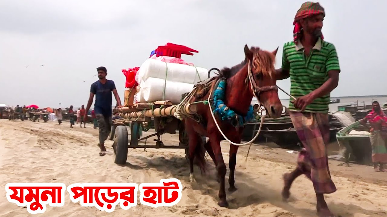 যমুনা পাড়ে কাজীপুরের নাটুয়ারপাড়া হাট