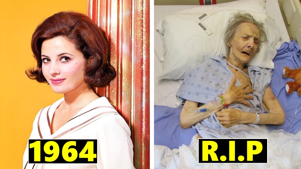 Peyton Place (1964 - 1969) Cast THEN AND NOW 2023, All the cast members died tragically!!