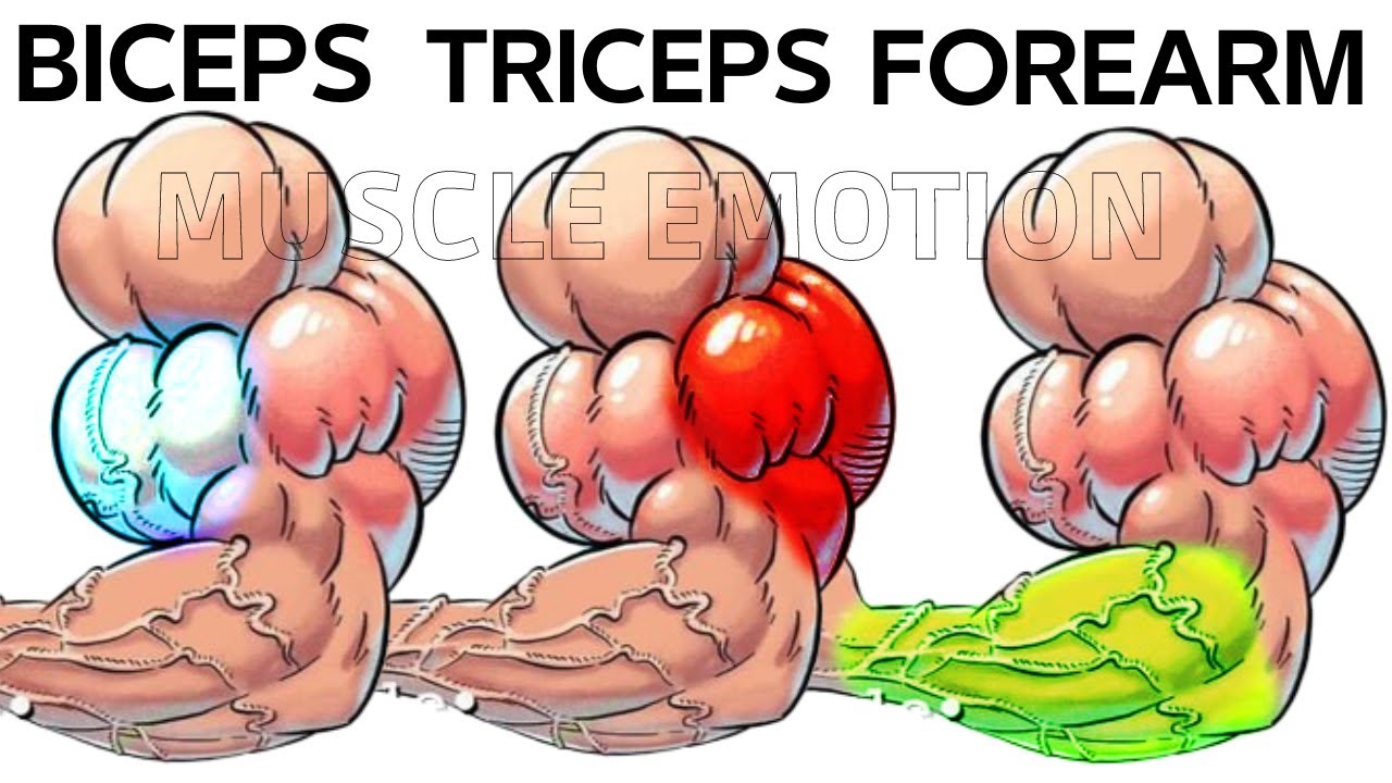 5 BEST BICEPS / TRICEPS / FOREARMS EXERCISES AT GYM