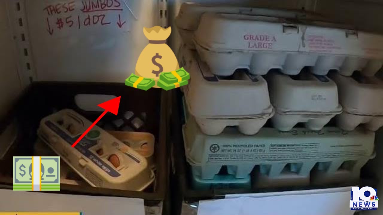Here's why the price of eggs is so high