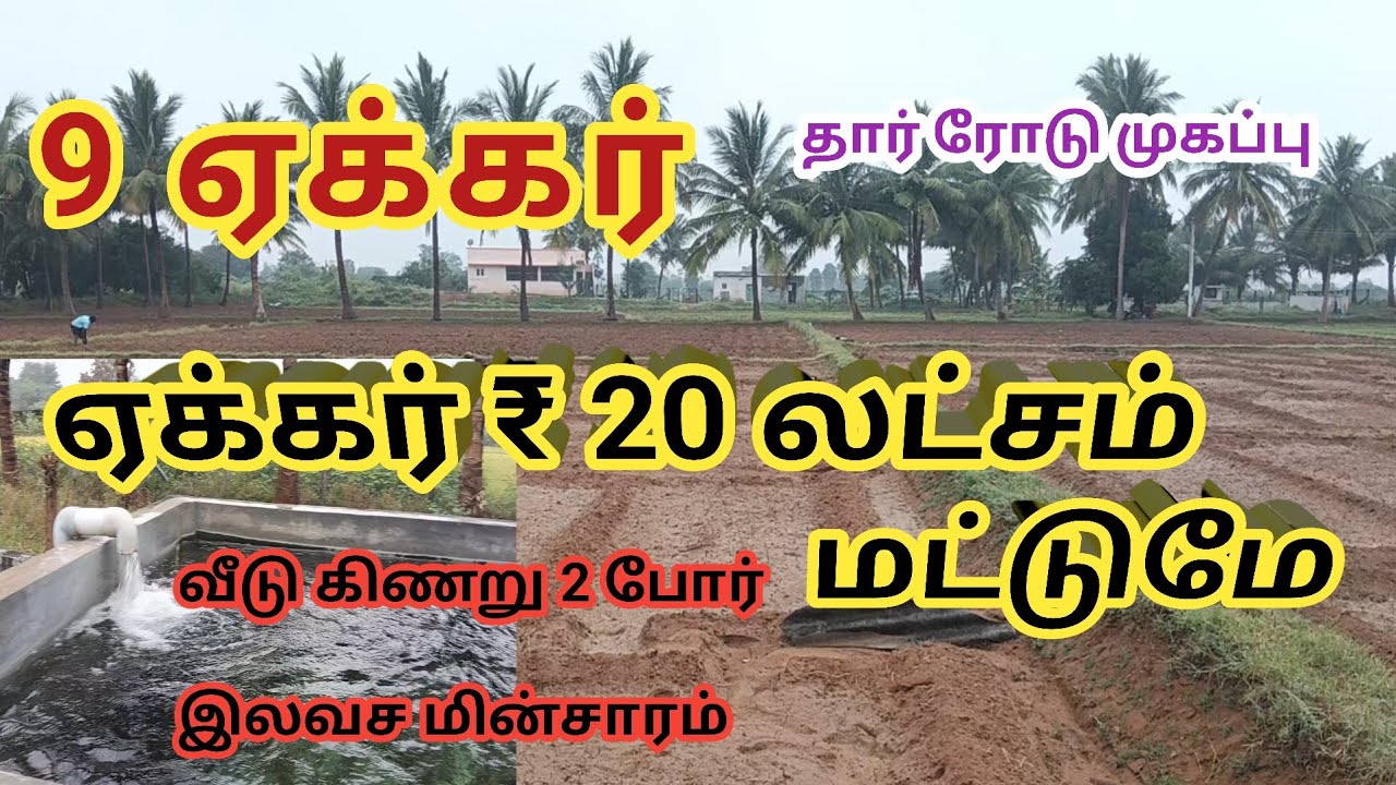 #agriculturefarming 🌴9 ஏக்கர் #வேடசந்தூர் அழகாபுரி அருகில் #திண்டுக்கல் மாவட்டம் #20L #PVR 