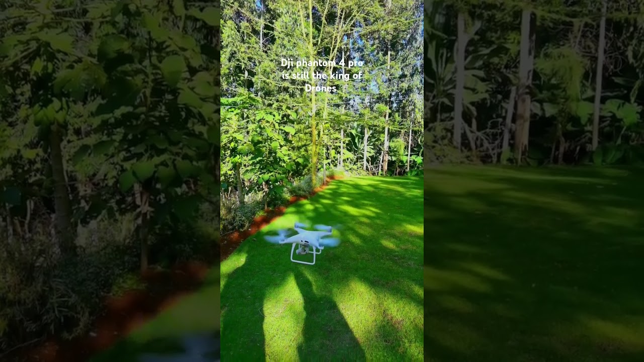 DJI PHANTOM 4 PRO IN 2024