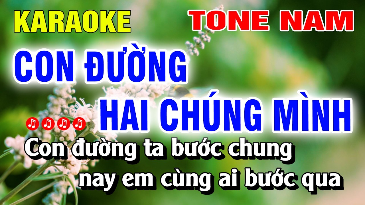 Karaoke Con Đường Hai Chúng Mình Tone Nam Nhạc Sống Dễ Hát | Duy Chiến
