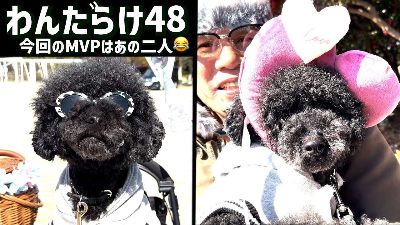 皆さんのおかげで【究極に】楽しい一日になりました！
