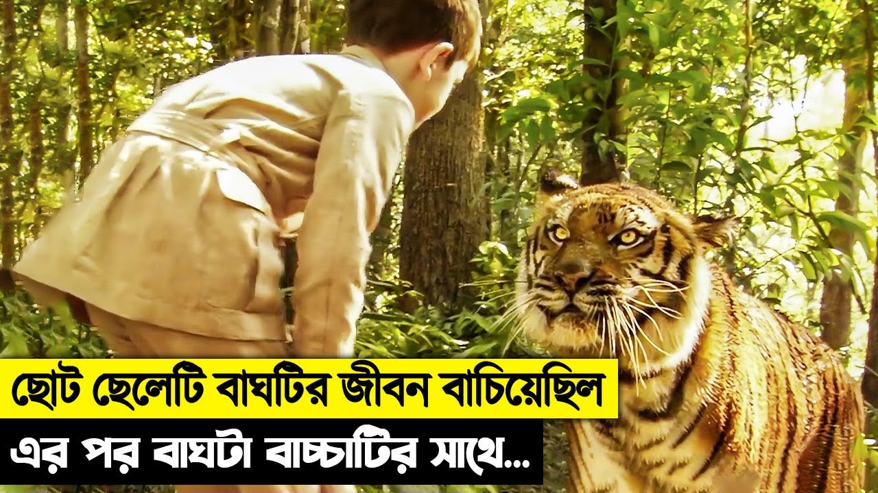 ১২ বছর পর মালিকের সাথে দেখা ! মানুষ আর বাঘের গল্প । movie explained