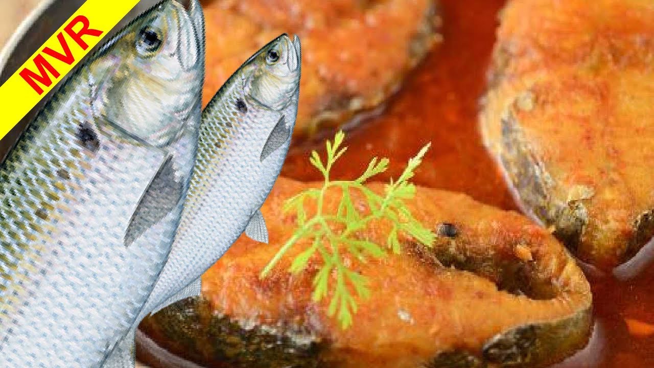 Fish Curry Recipe | How to Cook Fish Curry Simple and Tasty By My Village Recipes