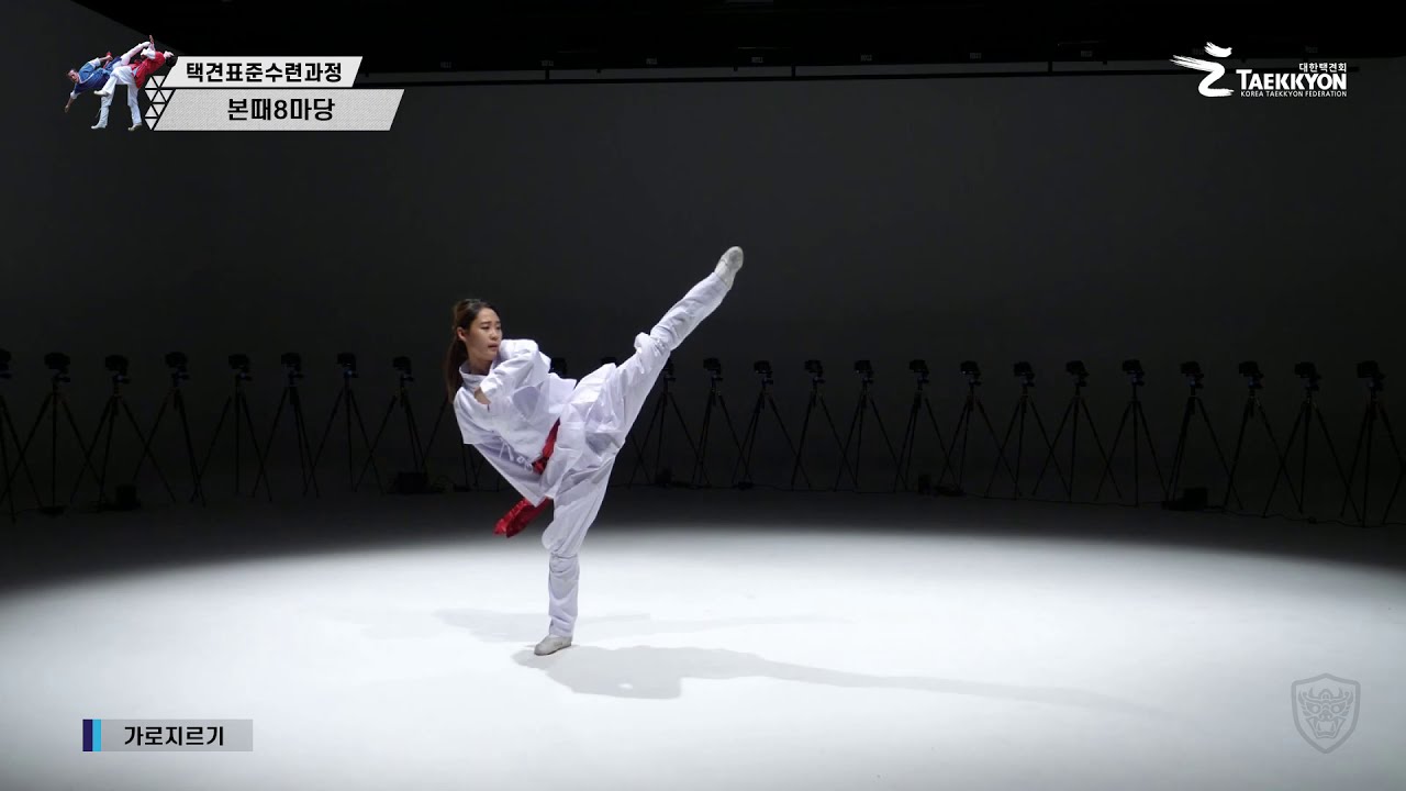 [4D] 대한택견회 표준수련과정_19. 본때8마당