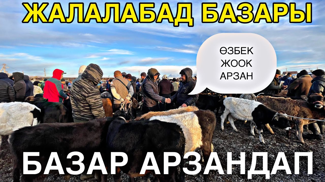 Жалал абад Базары АРЗАН ЭЧ КИМ АЛБАЙ КАЛДЫ ? #жалалабадмалбазары ##малбазар