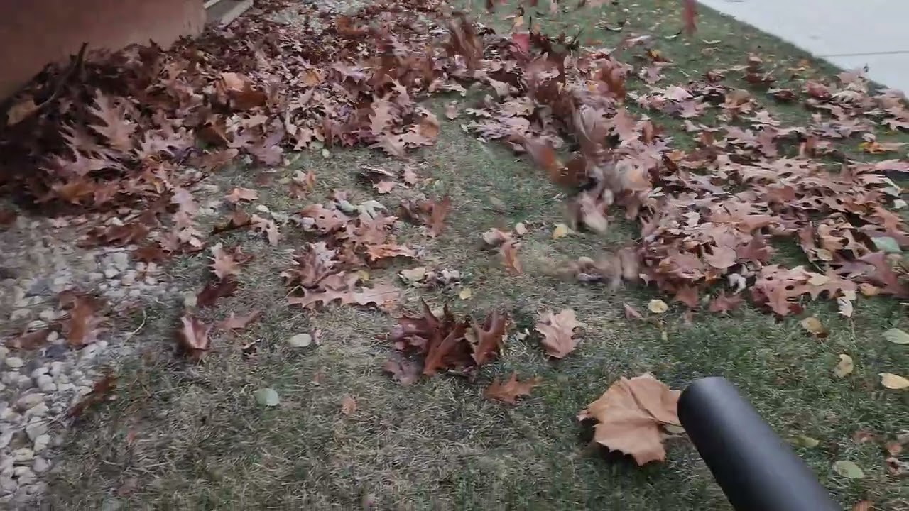 Leaf Blower, does it really work? WORX 20V Turbine Cordless Two-Speed Leaf Blower model WG547.