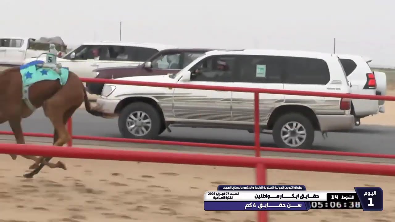 بث مباشر من قِبل النادي الكويتي لسباق الهجن
