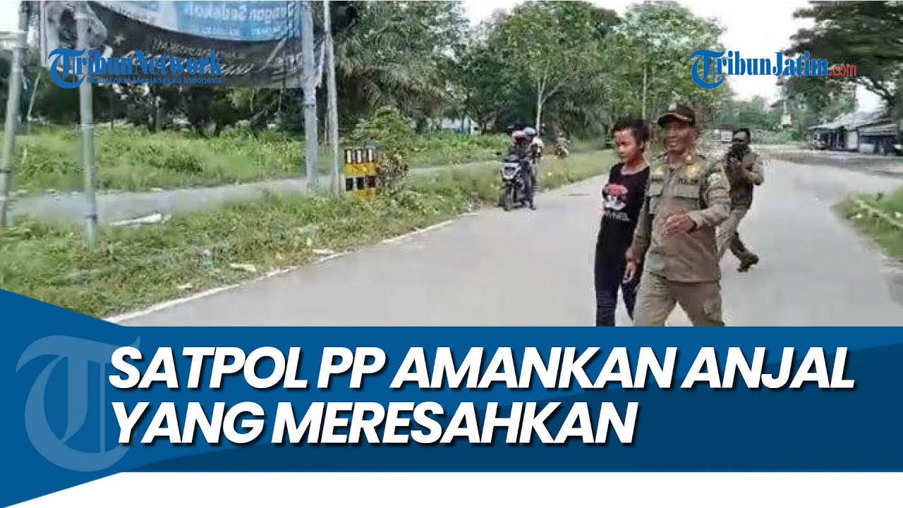 MERESAHKAN PENGGUNA JALAN, Satpol PP Bangkalan Amankan Anjal di Simpang Empat Suramadu