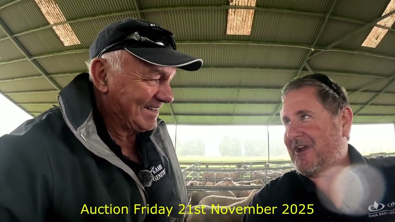 Kaahu Genetics Sale is Today Friday 21st November 2025