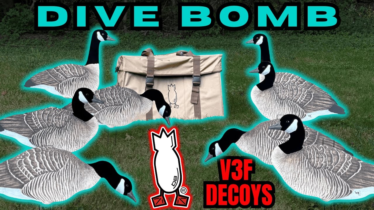 Dive Bomb V3 Flocked Decoys Overview! 