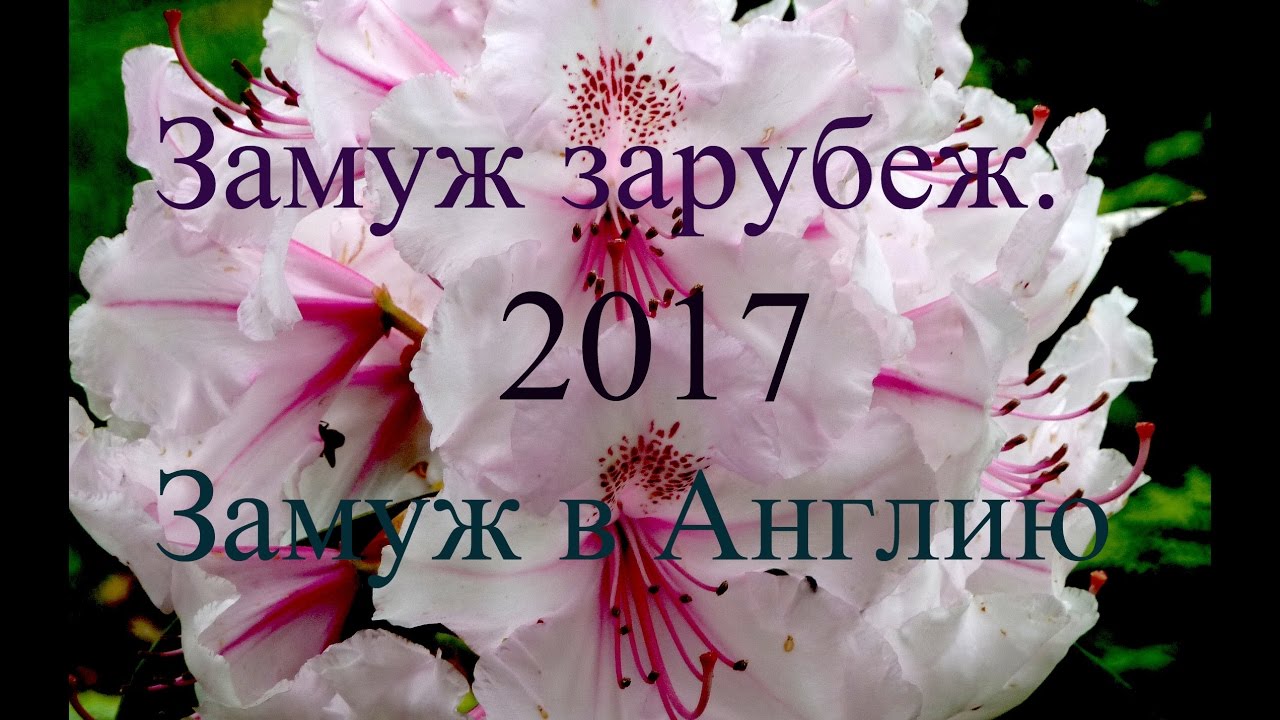 Замуж за рубеж   Замуж в Англию