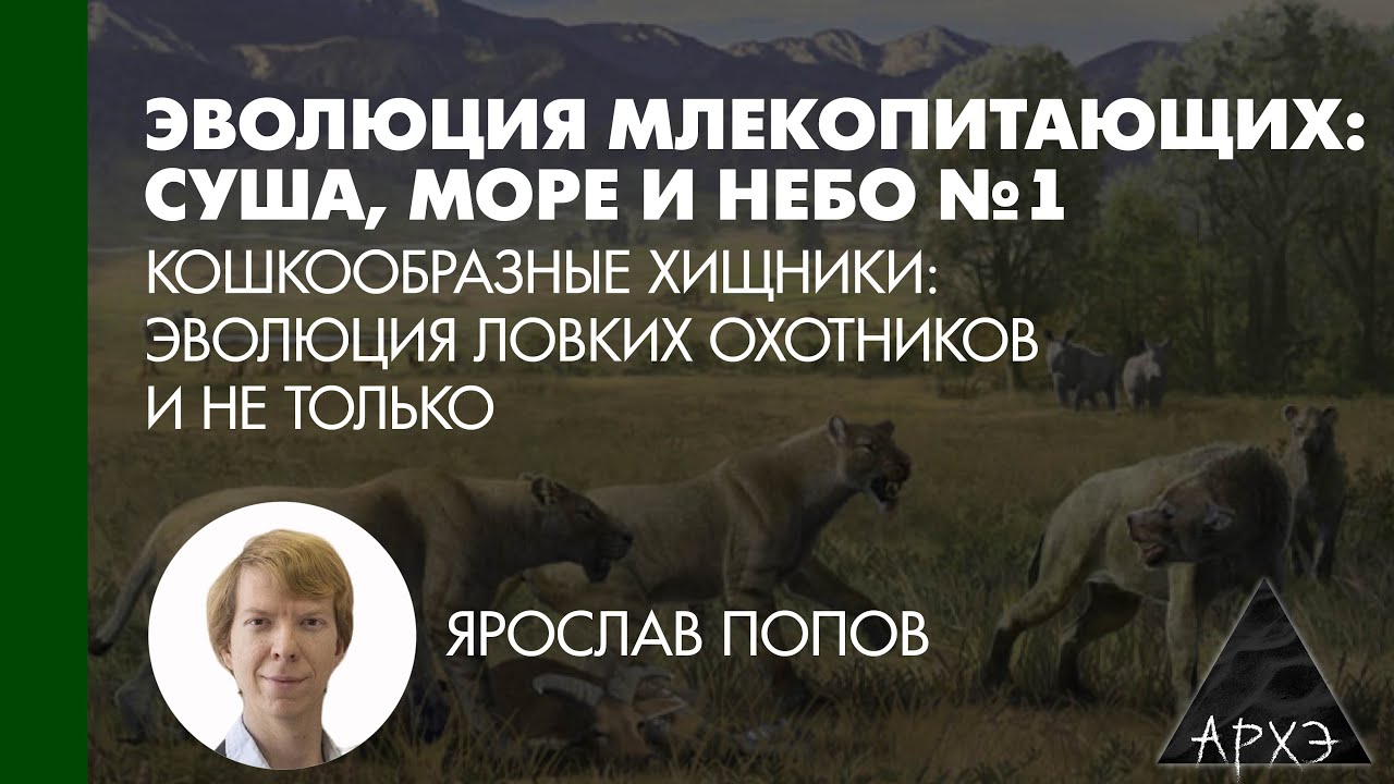 Ярослав Попов: &laquo;Кошкообразные хищники: эволюция ловких охотников и не только&raquo; (Л.1)