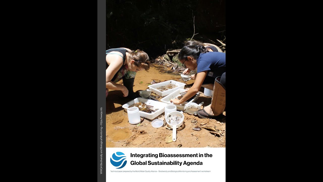 Collaborative Feedback: Advancing Bioassessment for Ambient Water Quality
