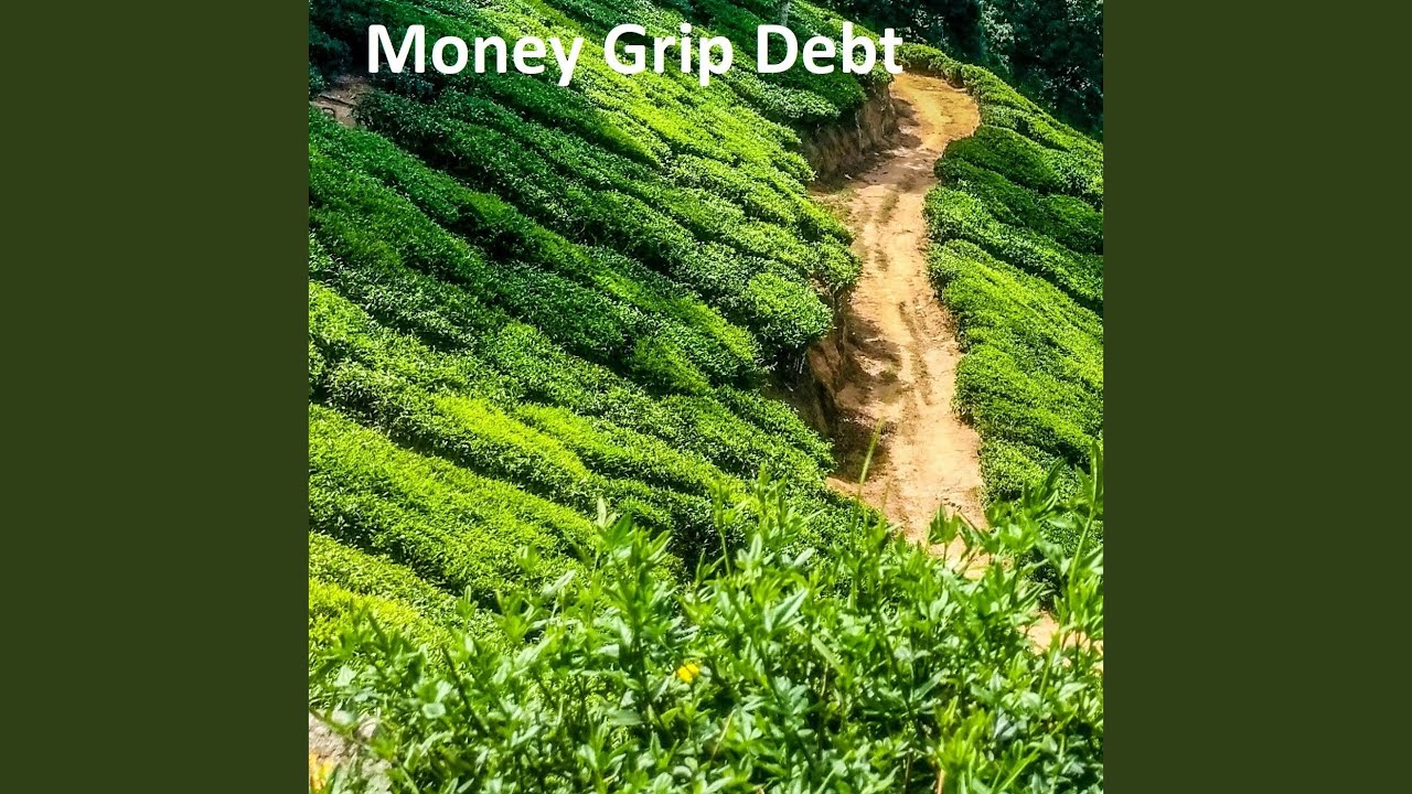 Money Grip Debt