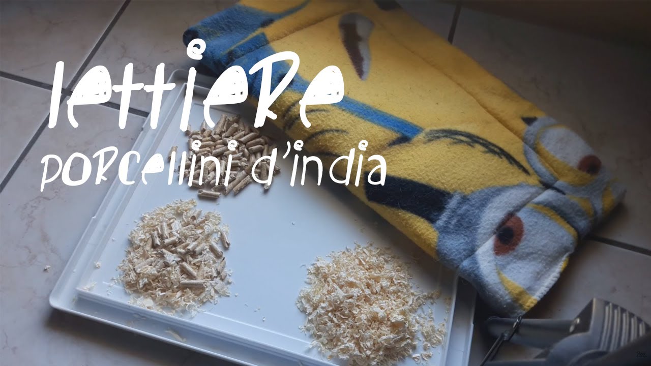 La LETTIERA perfetta per i PORCELLINI D'INDIA?