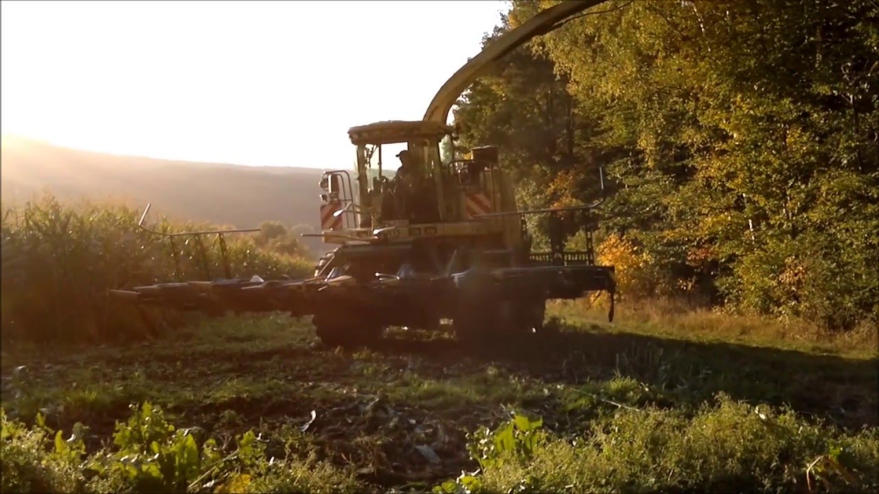 Maishäckseln 2012 Biogasanlage Schmid in Schönsee mit Fendt und Krone Big X