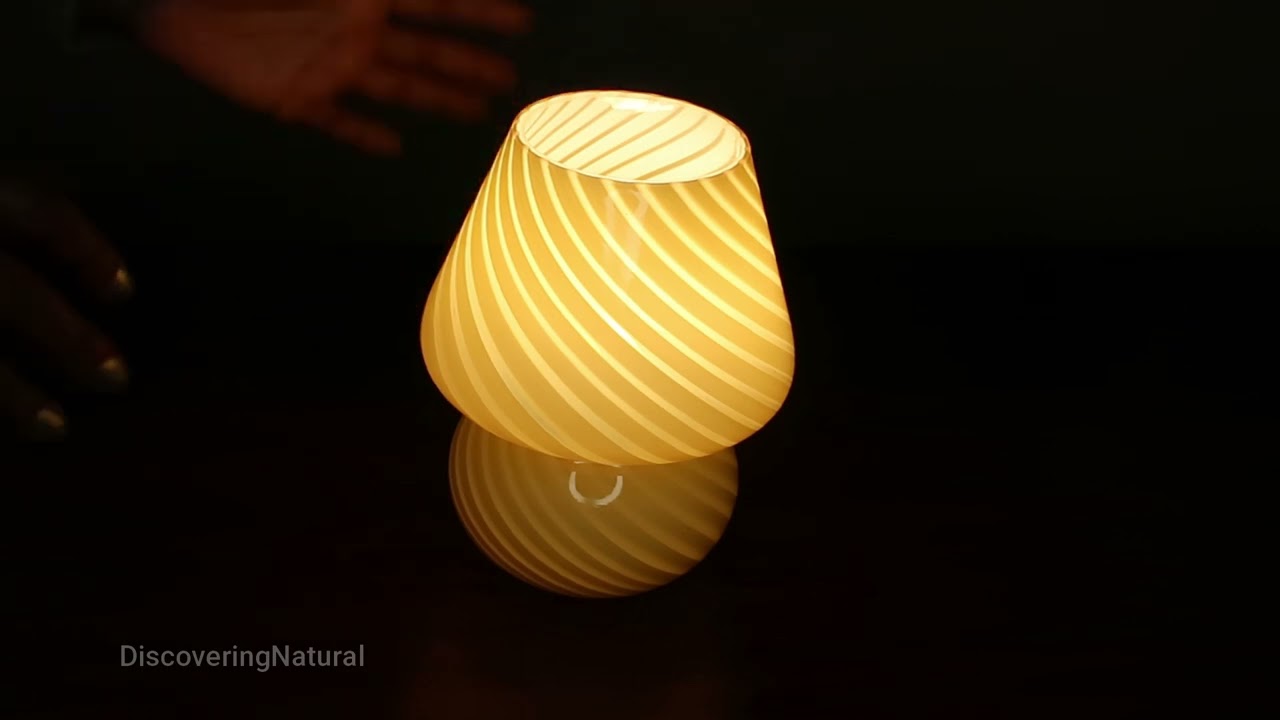 Cutest Stripped Mushroom Lamp Review