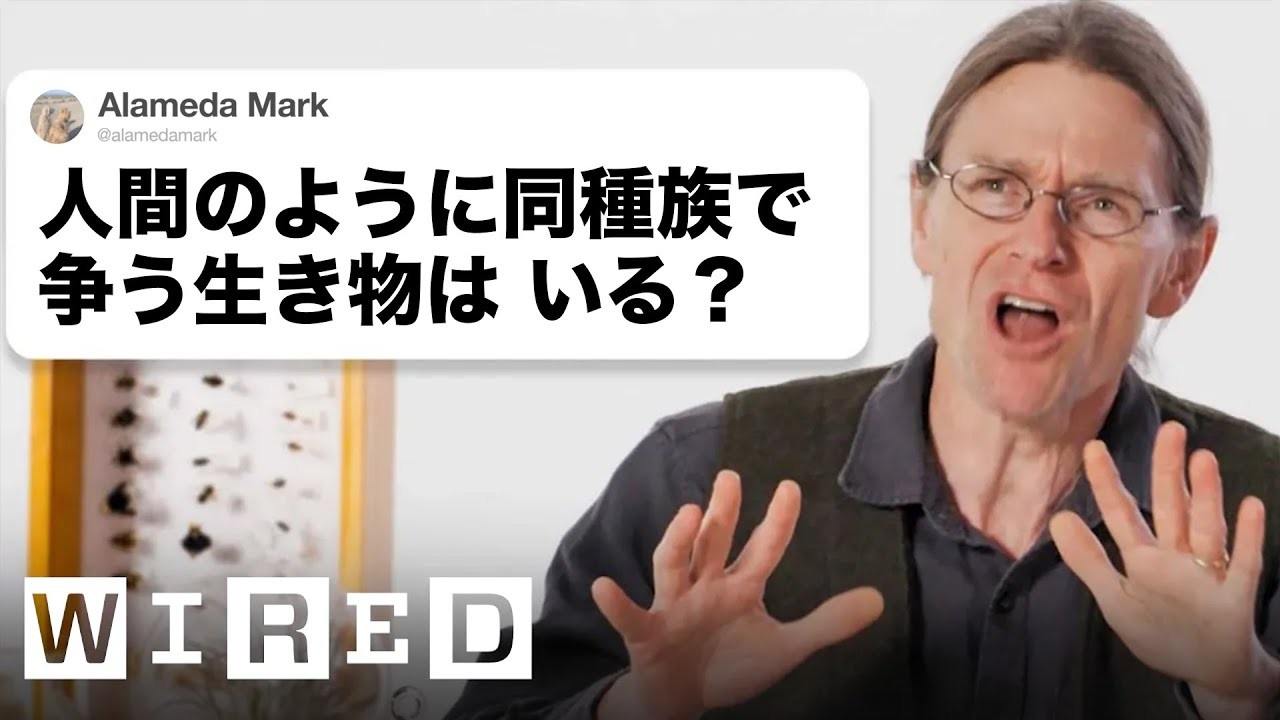 生物学者だけど質問ある？【PART2】 | Tech Support | WIRED.jp