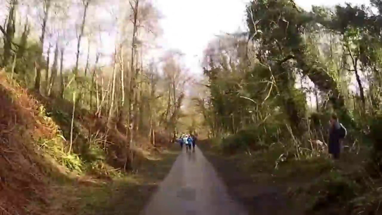 Telford parkrun