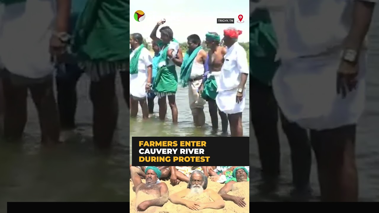 Farmers enter Cauvery river to protest Mekedatu Dam | #shorts