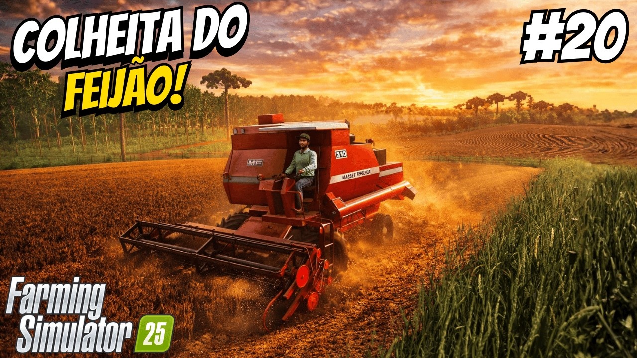 FINALMENTE CHEGOU A HORA DE COLHER O FEIJÃO DA FAZENDA CEDRO ALTO #20