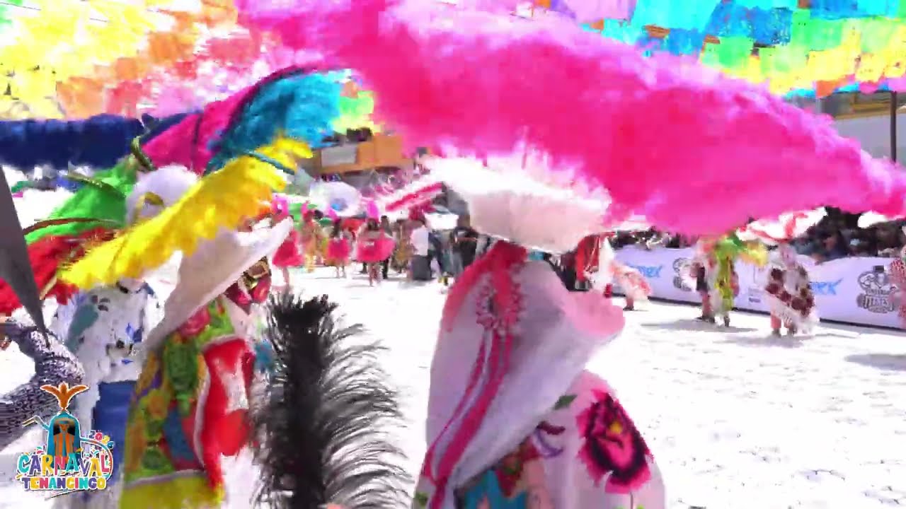 Carnaval de Tenancingo, Tlaxcala