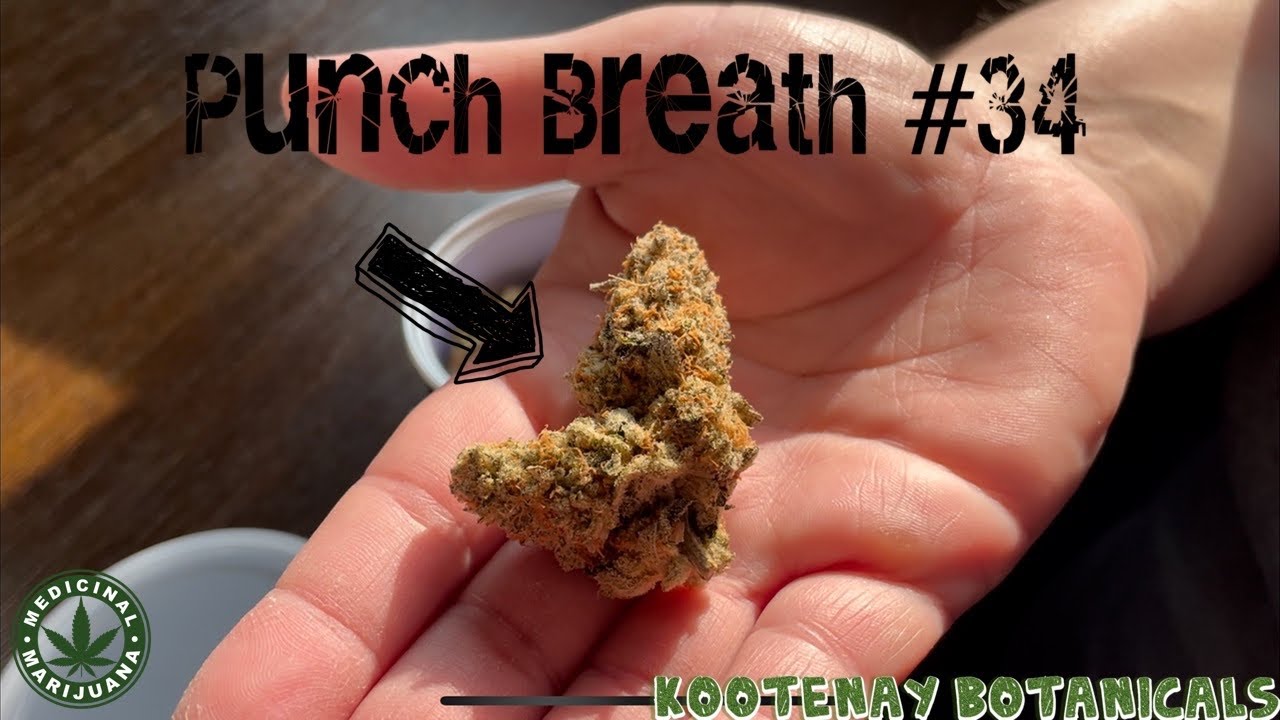 Cigrit & Donna Review &ldquo;Punch Breath #34&rdquo;👊🏻 (Medical Marijuana) From Kootenay Botanicals