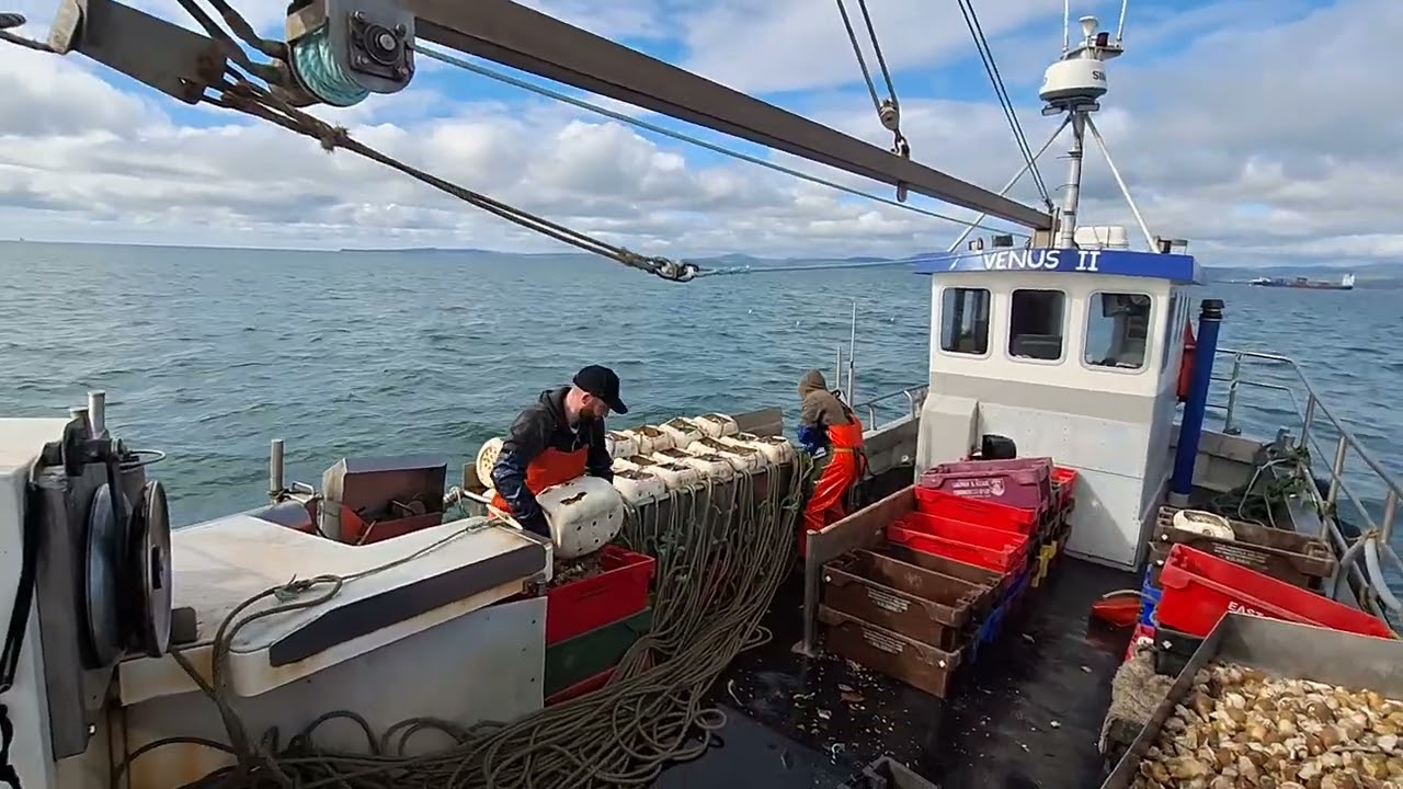 Whelk fishing Irish sea Venus 2.