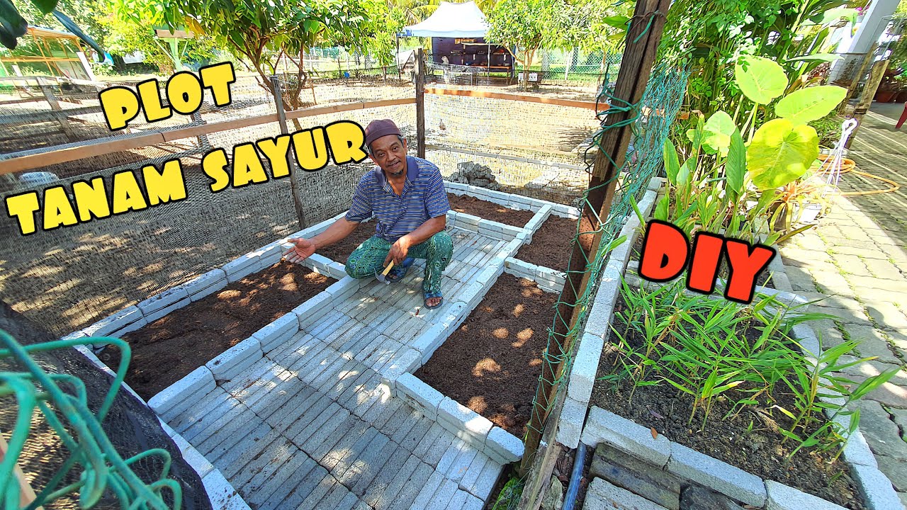 ✅️ BUAT PLOT TANAMAN SAYUR GUNA BATA || KEBUN CANTIK DAN MUDAH