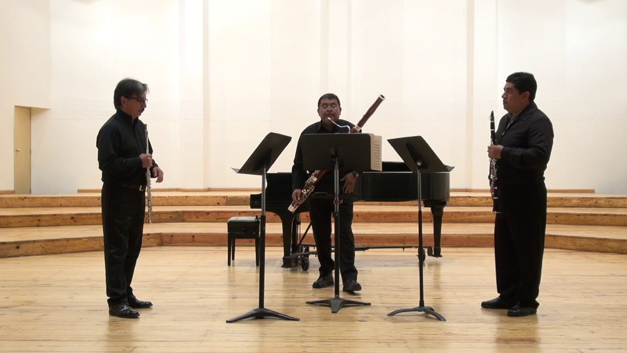 Trío para flauta, clarinete y fagot   de Georges Auric
