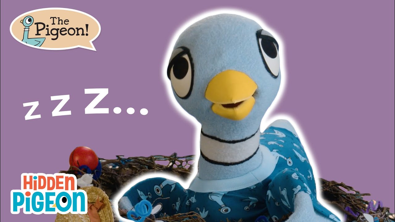 🎤 What A Pigeon Does Before Bed 🛏️ | Routine Song | The Pigeon Sing-Alongs! | Hidden Pigeon Channel